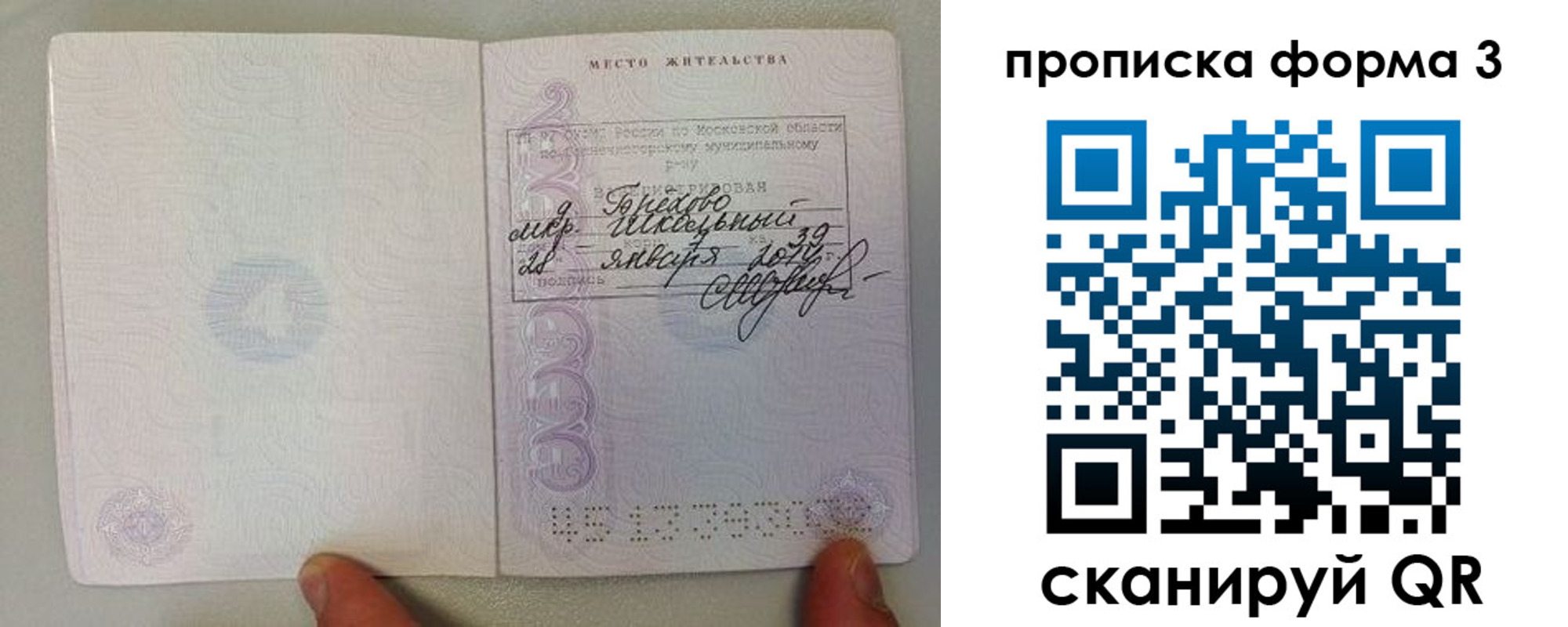 прописка гарантия в Ипатово